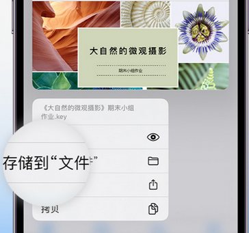 永平apple维修中心分享iPhone文件应用中存储和找到下载文件