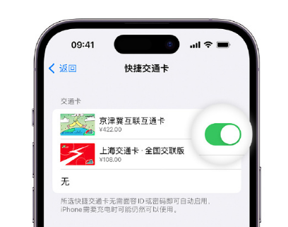 永平apple维修点分享iPhone上更换Apple Pay快捷交通卡手绘卡面 