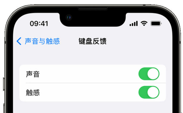 永平苹果手机维修分享iPhone 14触感键盘使用方法 