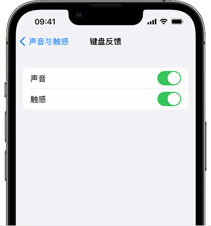 永平苹果14维修店分享如何在 iPhone 14 机型中使用触感键盘 