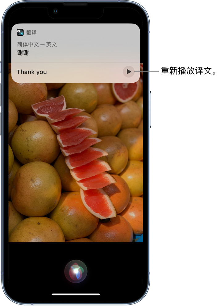 永平苹果14维修分享 iPhone 14 机型中使用 Siri：了解 Siri 能帮你做什么 