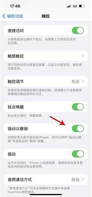 永平苹果手机维修分享iPhone手机如何设置摇一摇删除文字 