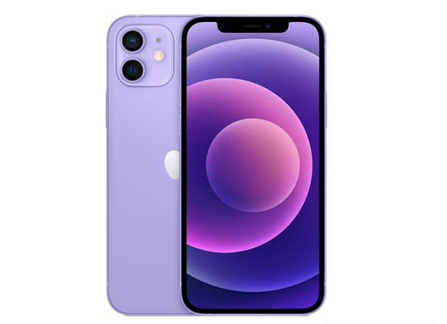 永平苹果手机维修分享现阶段要不要入手紫色版iPhone12 