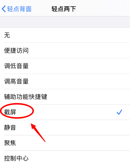 永平苹果手机维修分享iPhone12如何启用双击截屏 