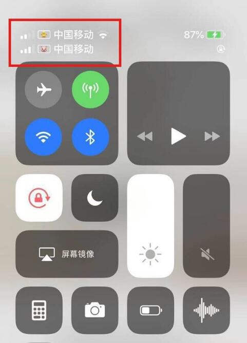 永平苹果手机维修分享为 iPhone 12 双卡设置标签 