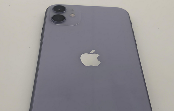 永平苹果11系统维修分享iPhone11手机系统崩溃无法开机如何解决 